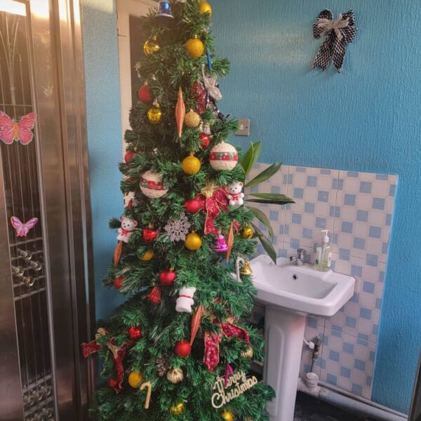 WhatsApp Image 2023-11-28 at 10.40.46 AM (2)